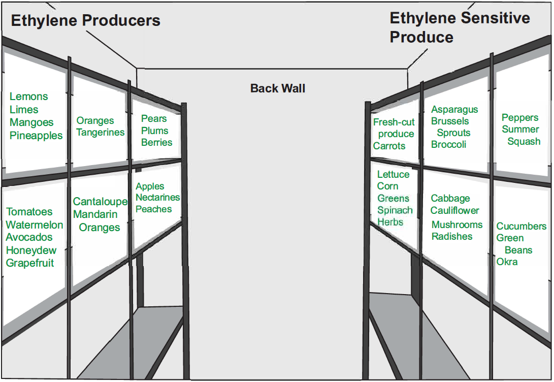 How Long Do Bananas Last?